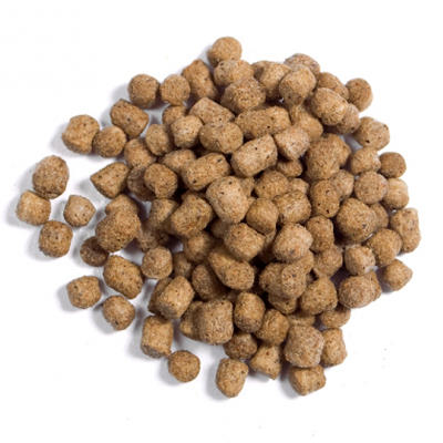 Schwimmendes 5mm Koifutter für das ganze Jahr | KOIMENUE® | Koi-Goldkorn